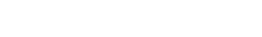 高速化・安定化を実現させる技術力と自社エンジニアによる充実サポート