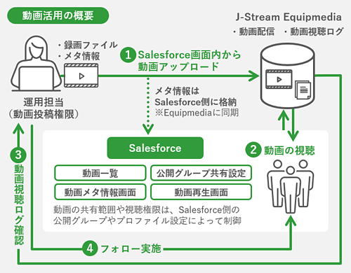 動画活用の概要