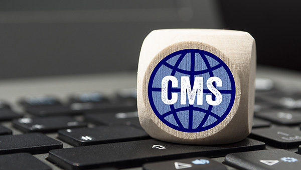 CDNによる動的CMS・動的サ…