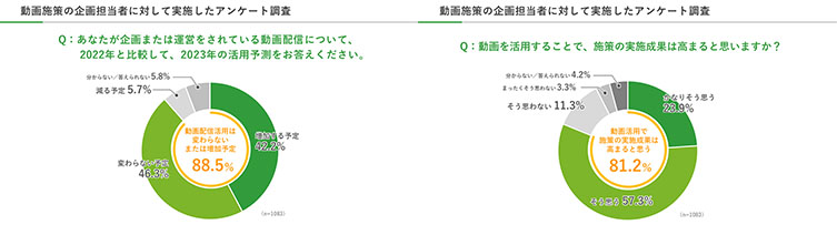 動画施策の企画担当者に対して実施したアンケート調査
