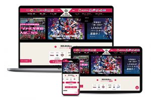 一般社団法人日本女子ソフトボー…