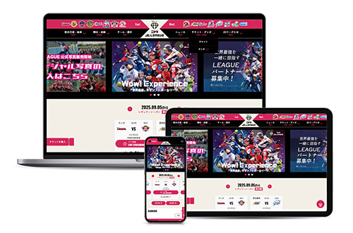 一般社団法人日本女子ソフトボー…