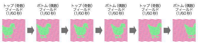 インターレース方式（１フレームを飛び飛びの２枚の画像にわけて表示）